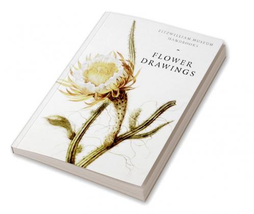 Flower Drawings