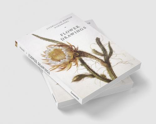 Flower Drawings