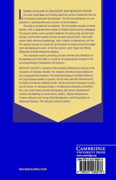 New Perspectives on Adolescent Risk Behavior