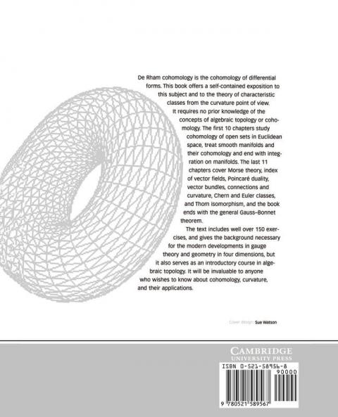 From Calculus to Cohomology