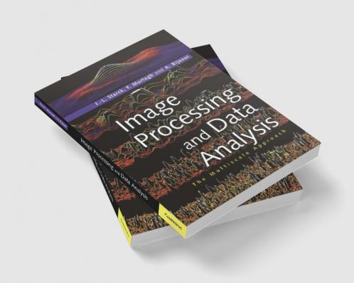 Image Processing and Data Analysis