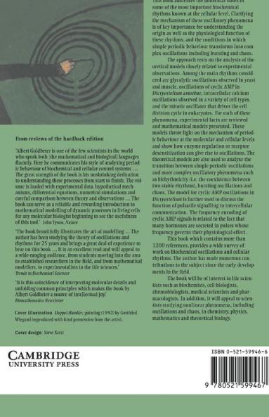 Biochemical Oscillations and Cellular Rhythms