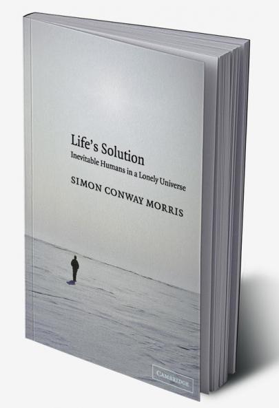 Life's Solution