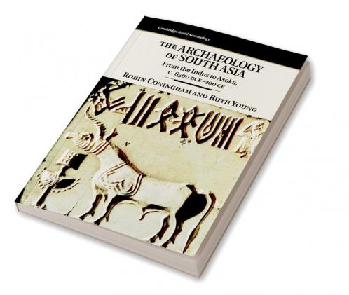 The Archaeology of South Asia