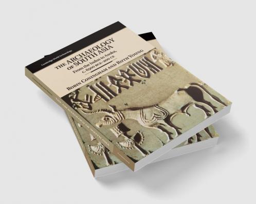 The Archaeology of South Asia