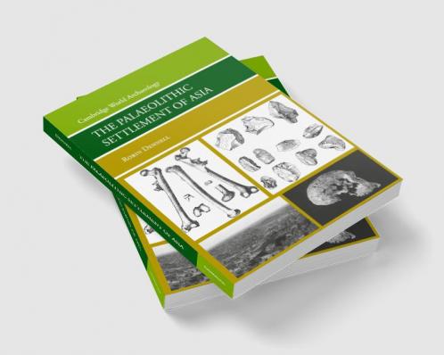 The Palaeolithic Settlement of Asia