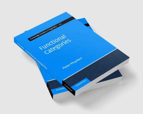 Functional Categories