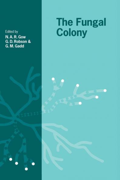 The Fungal Colony