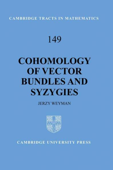 Cohomology of Vector Bundles and Syzygies