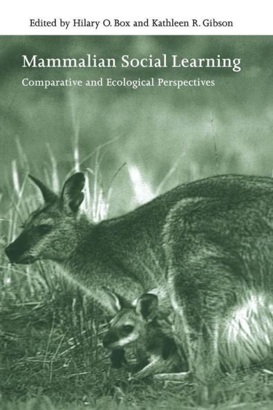 Mammalian Social Learning