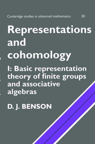 Representations and Cohomology
