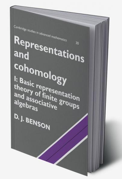 Representations and Cohomology