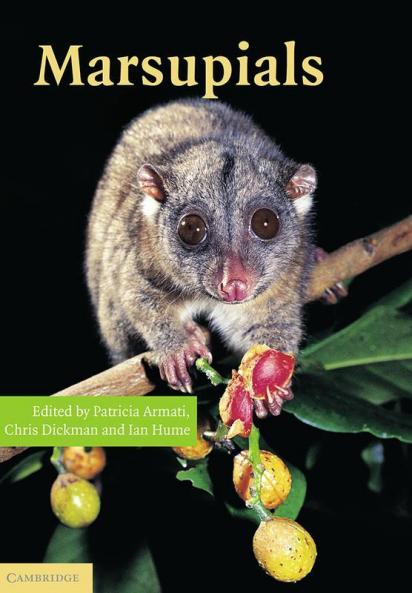 Marsupials