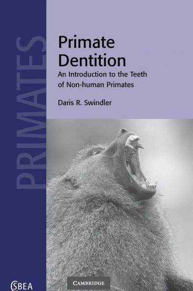 Primate Dentition