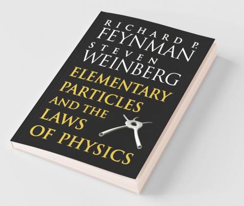 Elementary Particles and the Laws of Physics