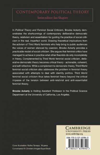 Political Theory and Feminist Social Criticism