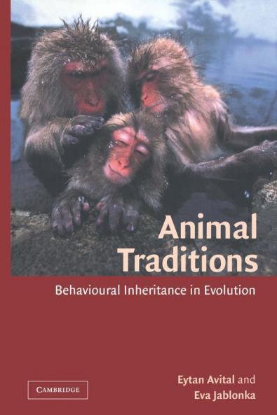Animal Traditions