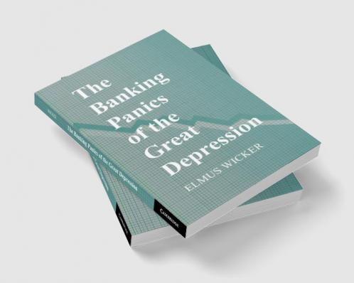 The Banking Panics of the Great Depression