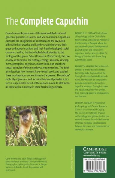 The Complete Capuchin