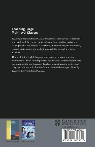 Teaching Large Multilevel Classes