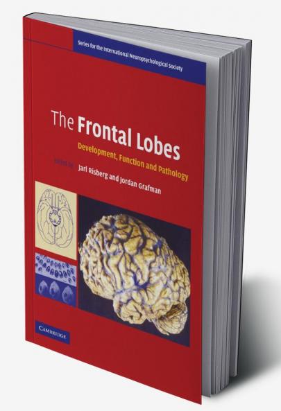 The Frontal Lobes