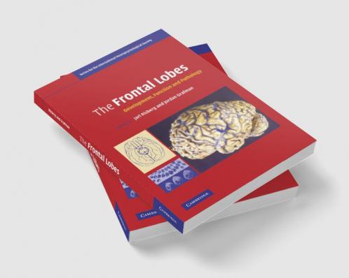 The Frontal Lobes