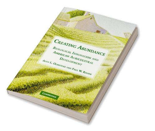 Creating Abundance