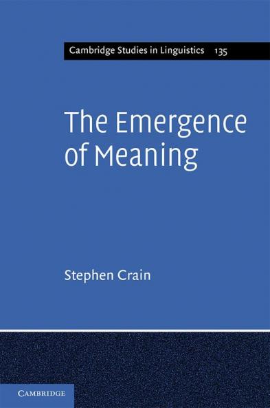 The Emergence of Meaning