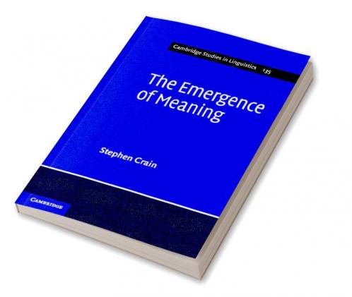 The Emergence of Meaning