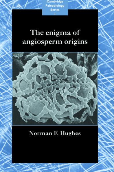 The Enigma of Angiosperm Origins