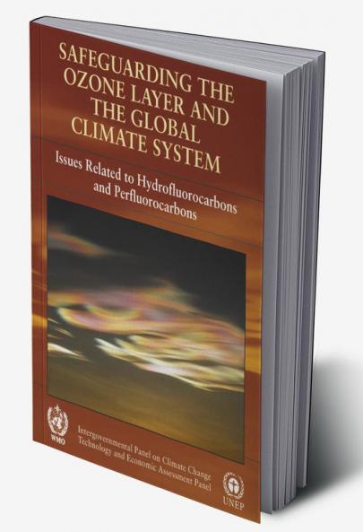 Safeguarding the Ozone Layer and the Global Climate System