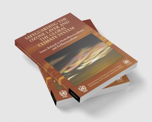 Safeguarding the Ozone Layer and the Global Climate System