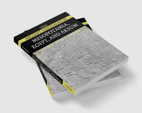 The Ancient Languages of Mesopotamia Egypt and Aksum