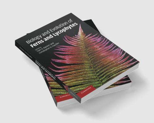 Biology and Evolution of Ferns and Lycophytes