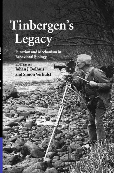Tinbergen's Legacy