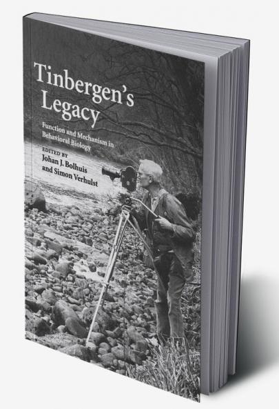 Tinbergen's Legacy