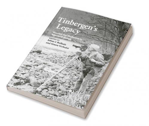 Tinbergen's Legacy
