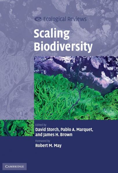 Scaling Biodiversity