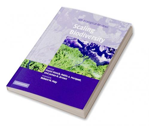 Scaling Biodiversity