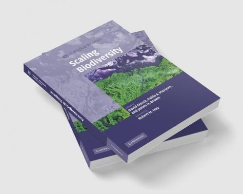 Scaling Biodiversity