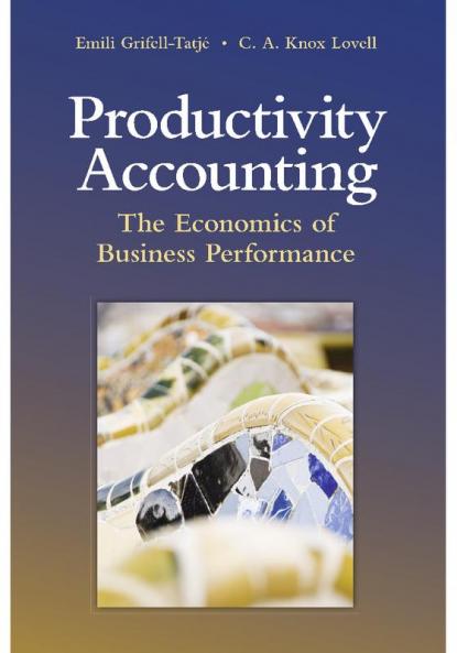 Productivity Accounting