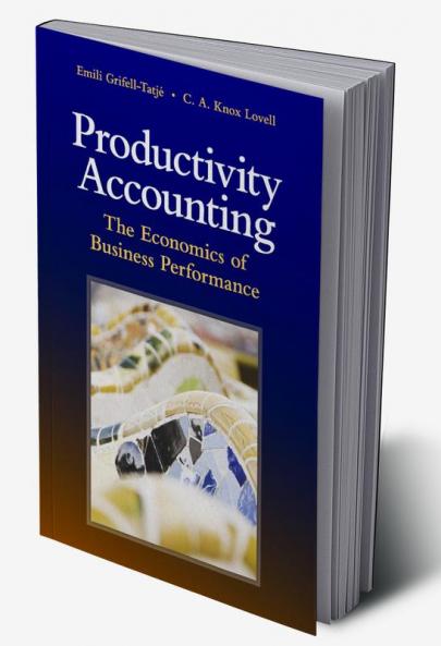 Productivity Accounting