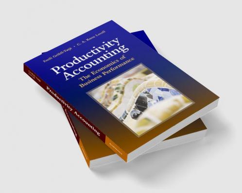 Productivity Accounting