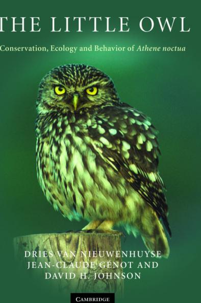 The Little Owl