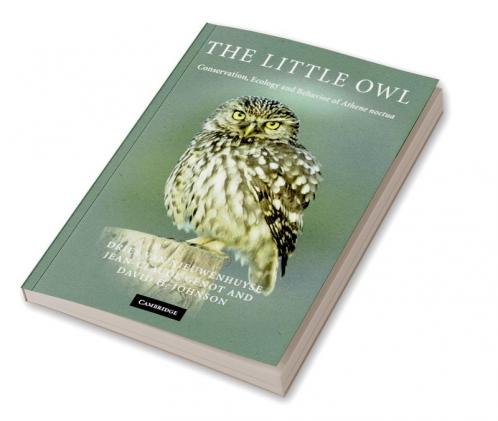 The Little Owl