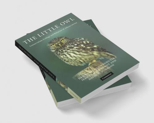 The Little Owl