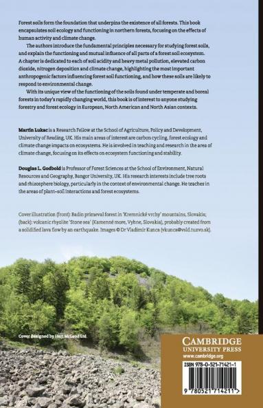 Soil Ecology in Northern Forests