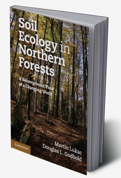 Soil Ecology in Northern Forests