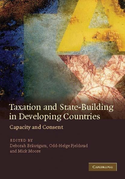 Taxation and State-Building in Developing Countries