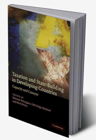 Taxation and State-Building in Developing Countries